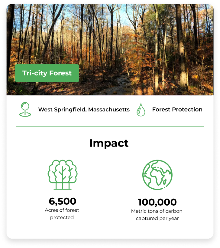 carbon offset projects