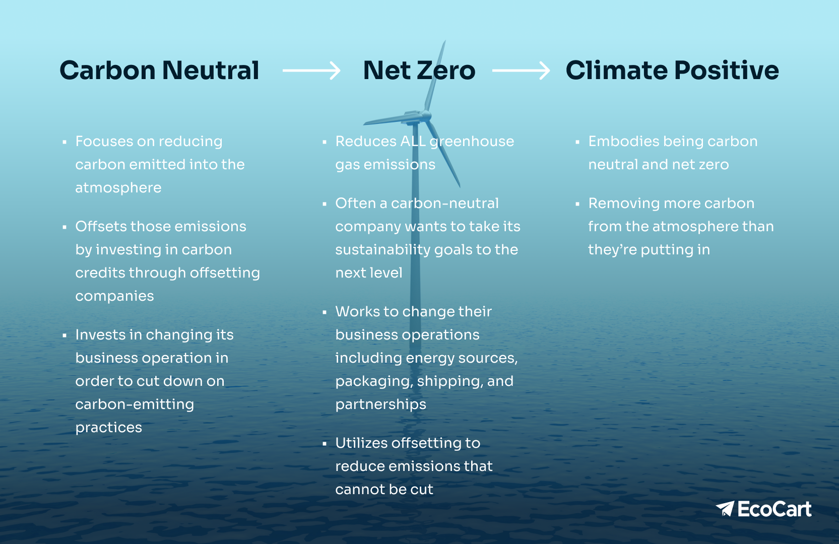 net zero vs carbon neutral